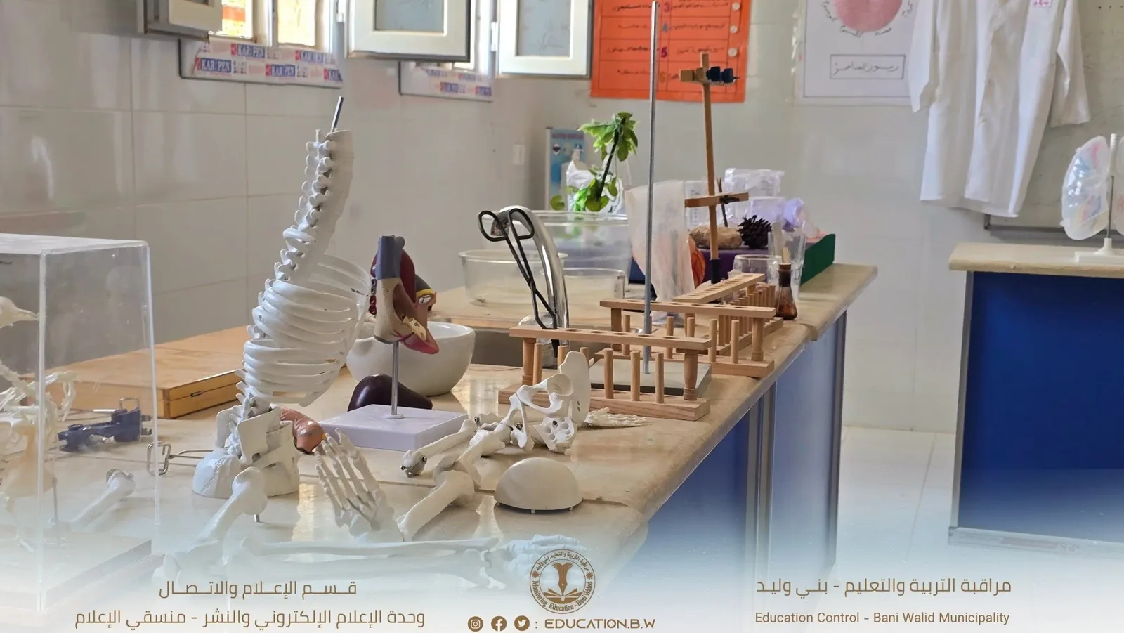 نماذج تشريحية في مختبر المدرسة